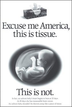 blob of tissue 3.png